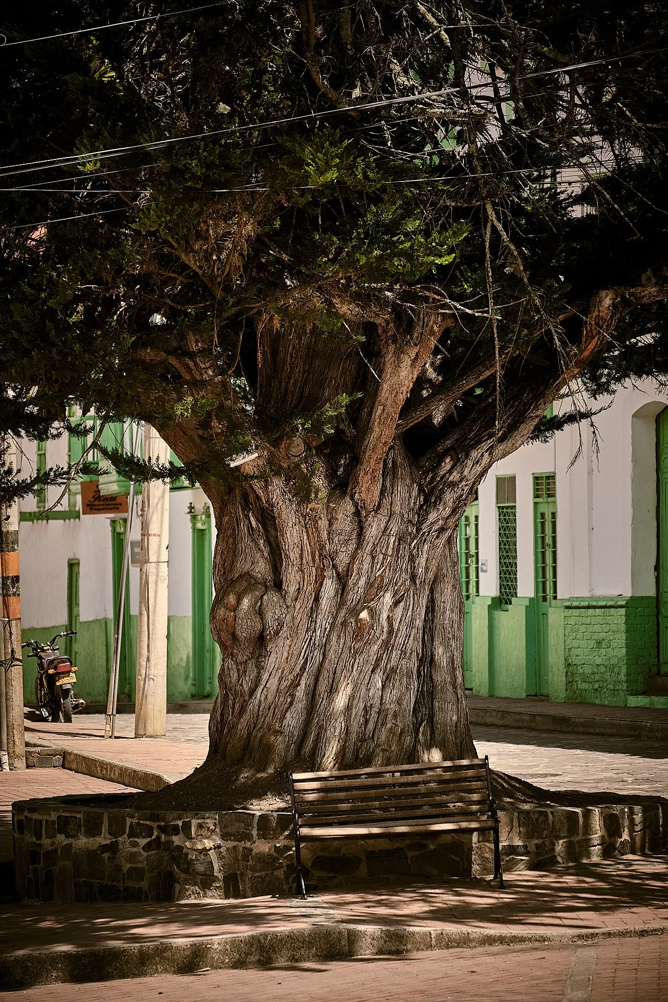 My Travel Diary Chronicles - Bench in the square of El Cocuy