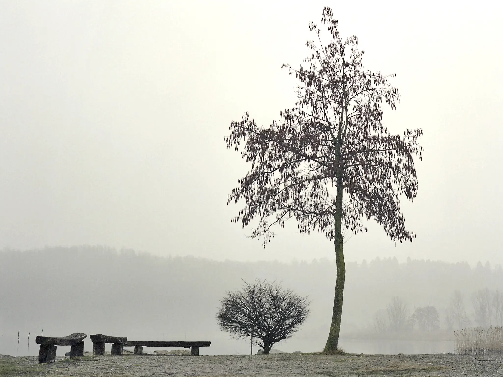 Matteo Franchi Foto - view of a lake in the fog