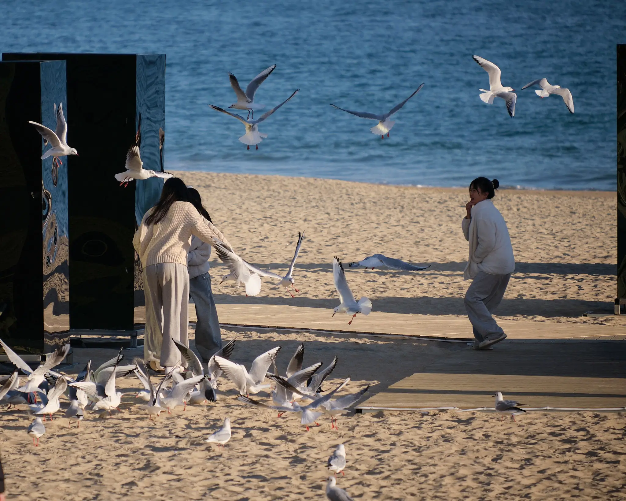 Matteo Franchi Foto - My Travel Diary Chronicles, Haeundae Beach, South Korea