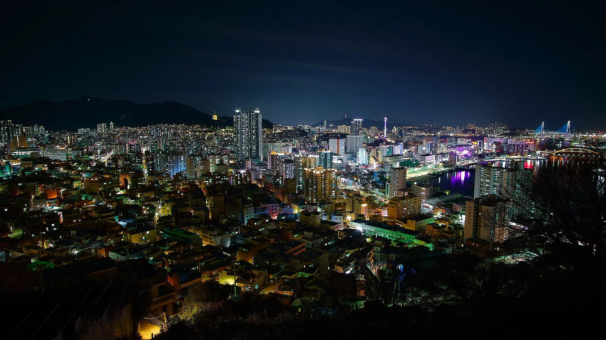 Busan Beyond the Guidebook: The Wave That Surprises You
