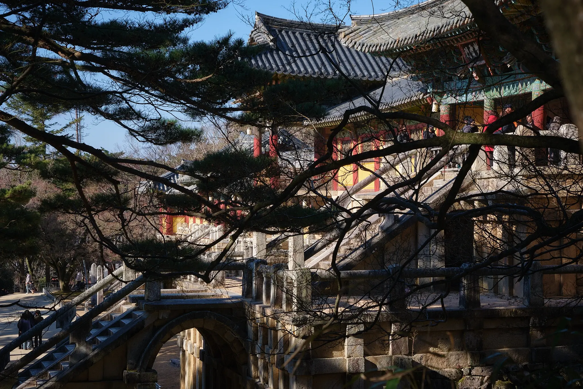 Gyeongju: The Timeless Heart of Korea